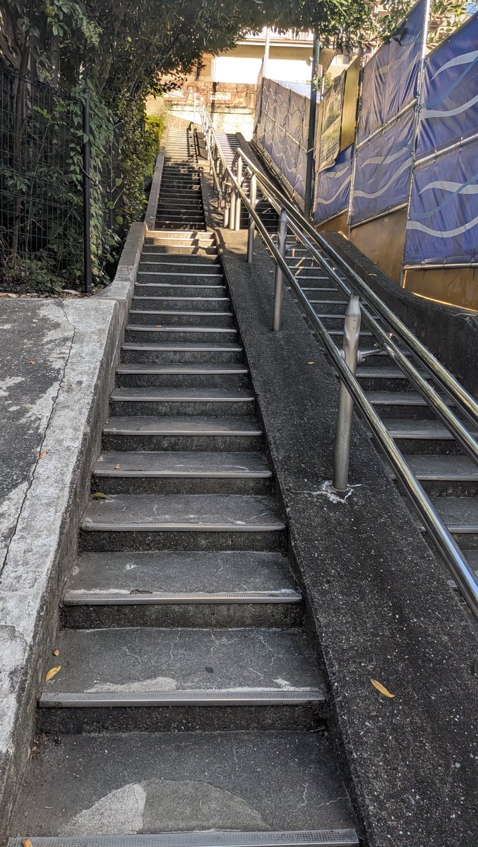 木々と建物の間に続く急な階段